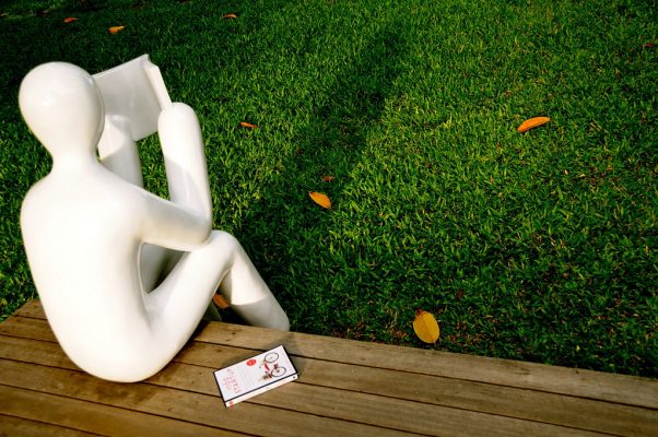 soberbia en una startup